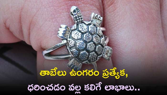 Silver Tortoise Ring Adjustable – Viha Online